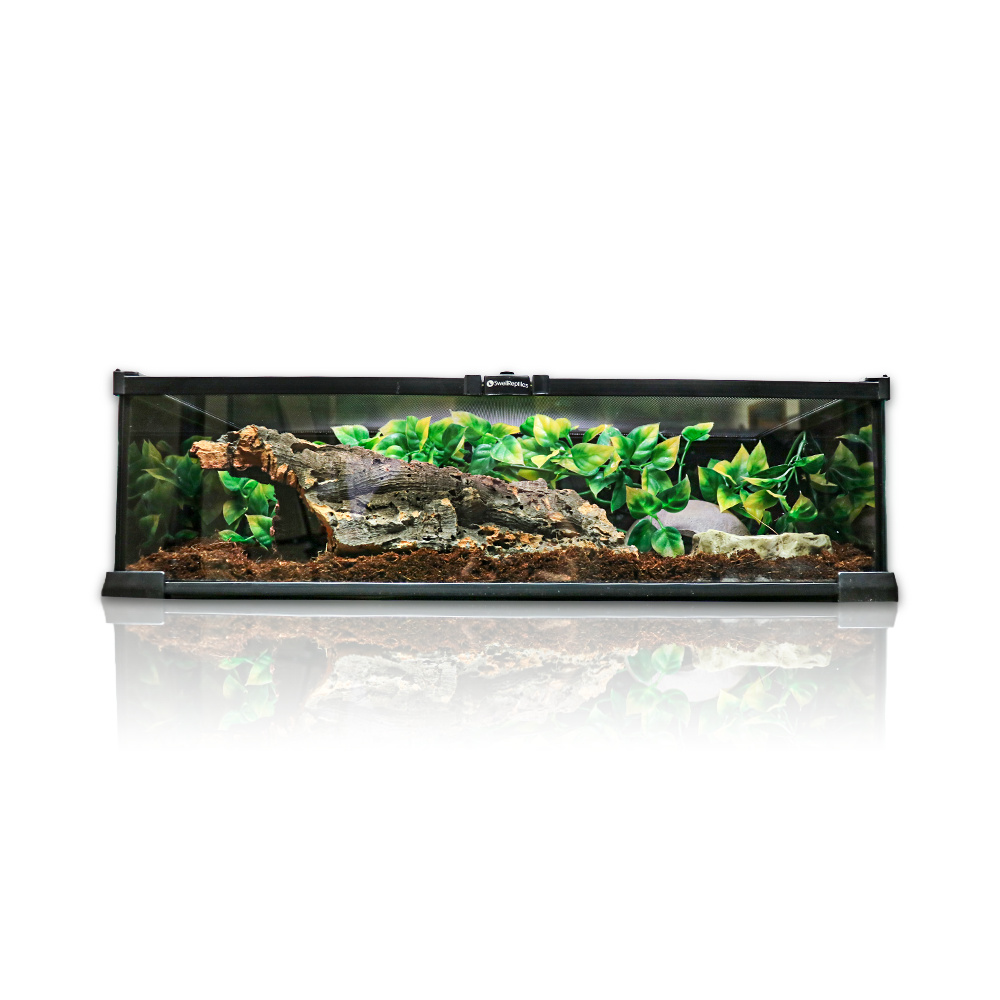 Swell Glass Terrainium - 50 x 30 x 15cm