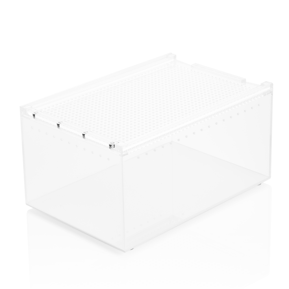 Swell Acrylic Reptile Display Box - 30 x 20 x 15