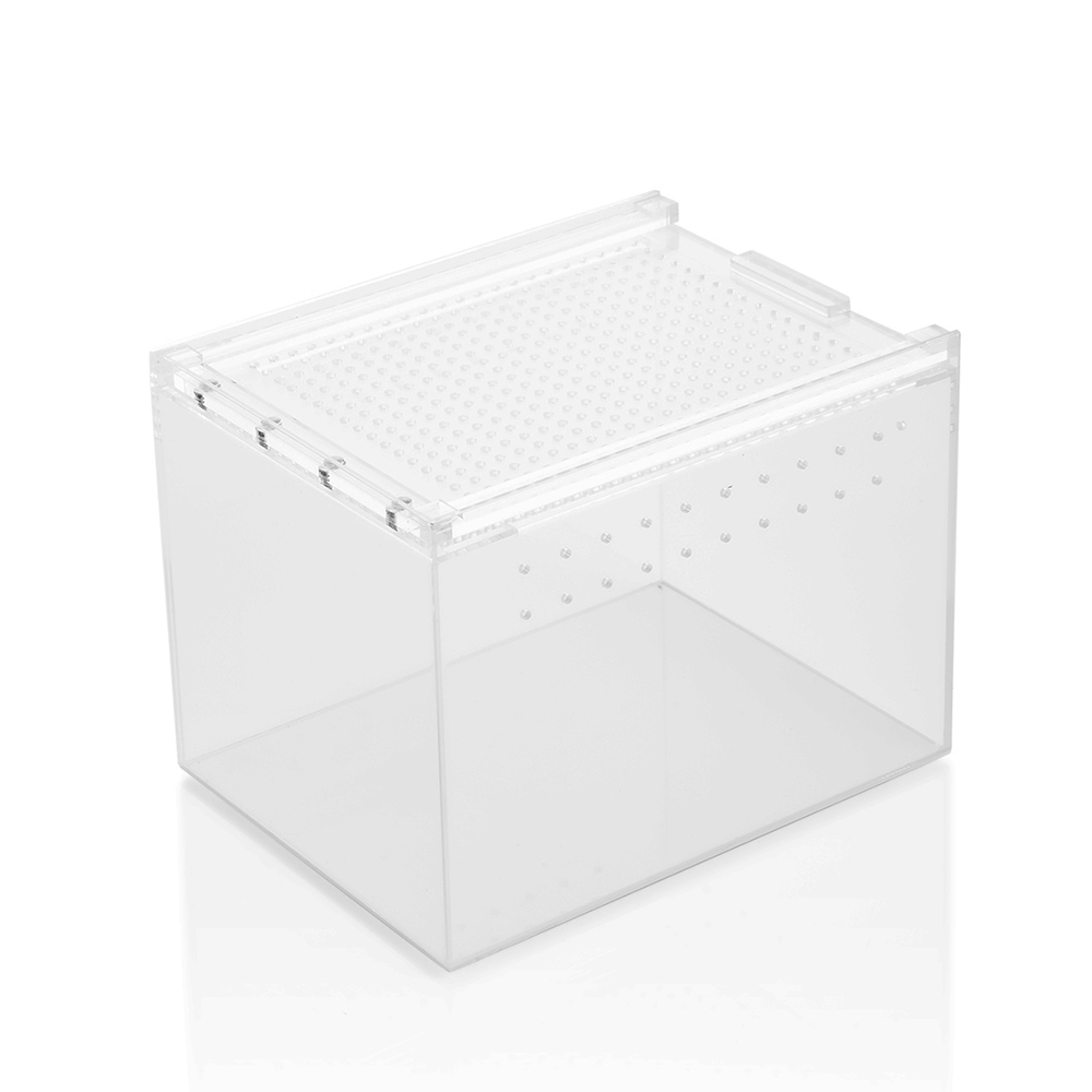 Swell Small Acrylic Display Box - 20 x 15 x 15cm