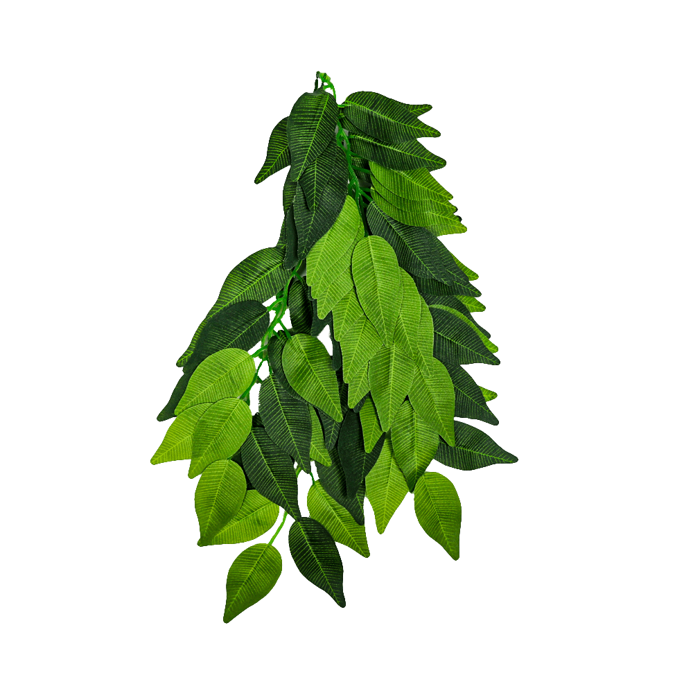 Swell Artificial Trailing Ficus