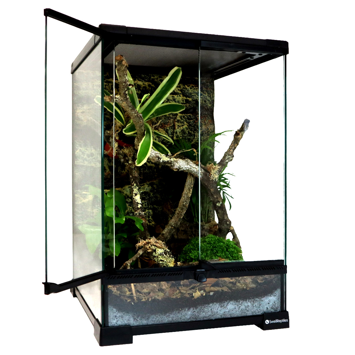 Swell Terrarium - 30 x 30 x 45cm