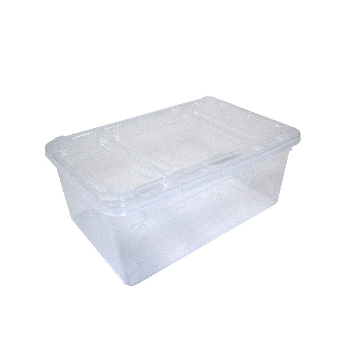 Swell Invertebrate/Livefood Box