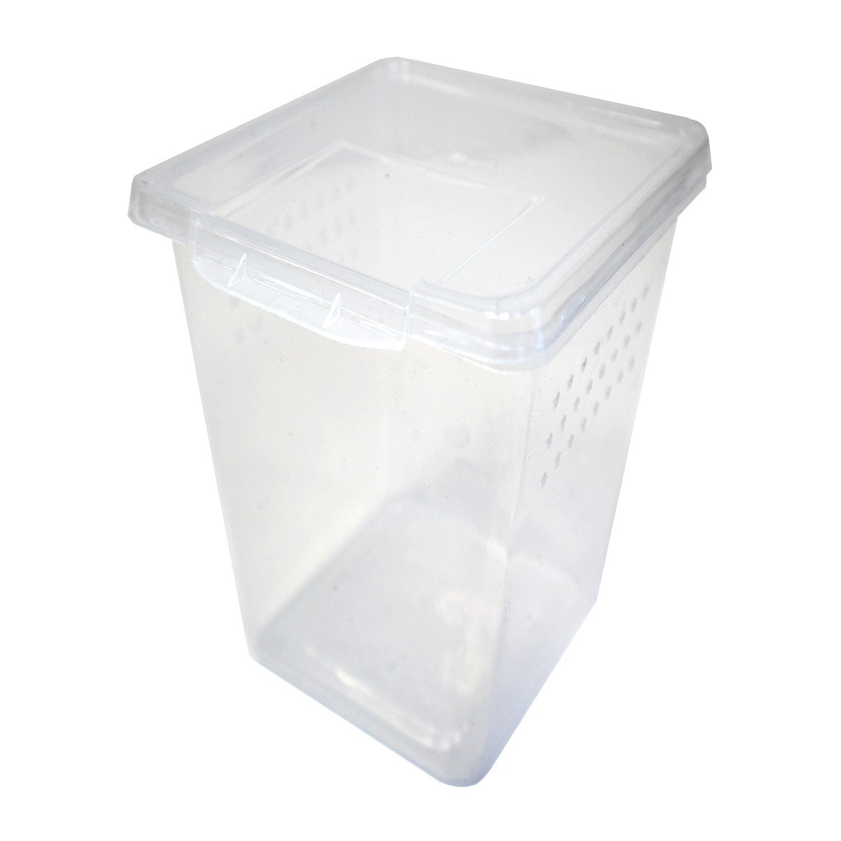 Swell Tall Spiderling Box - 8.5 x 8.5 x 11cm