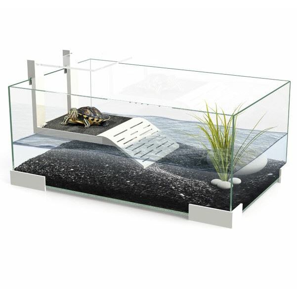 Ciano Tartarium