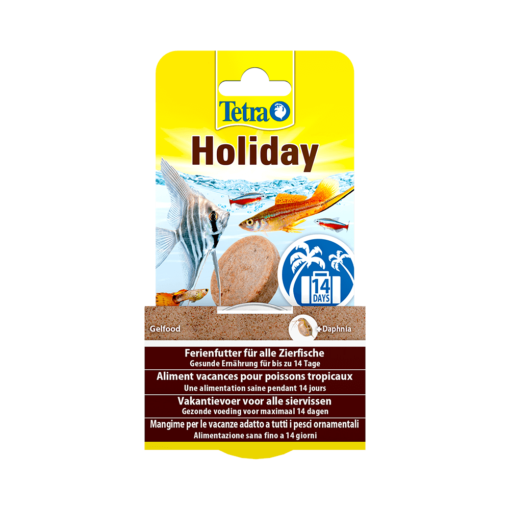 Tetra Holiday Menu