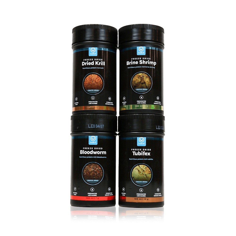 Swell Tropical Fish Treats Bundle