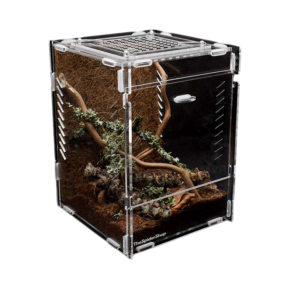 The Spider Shop Arboreal Acrylic Terrarium