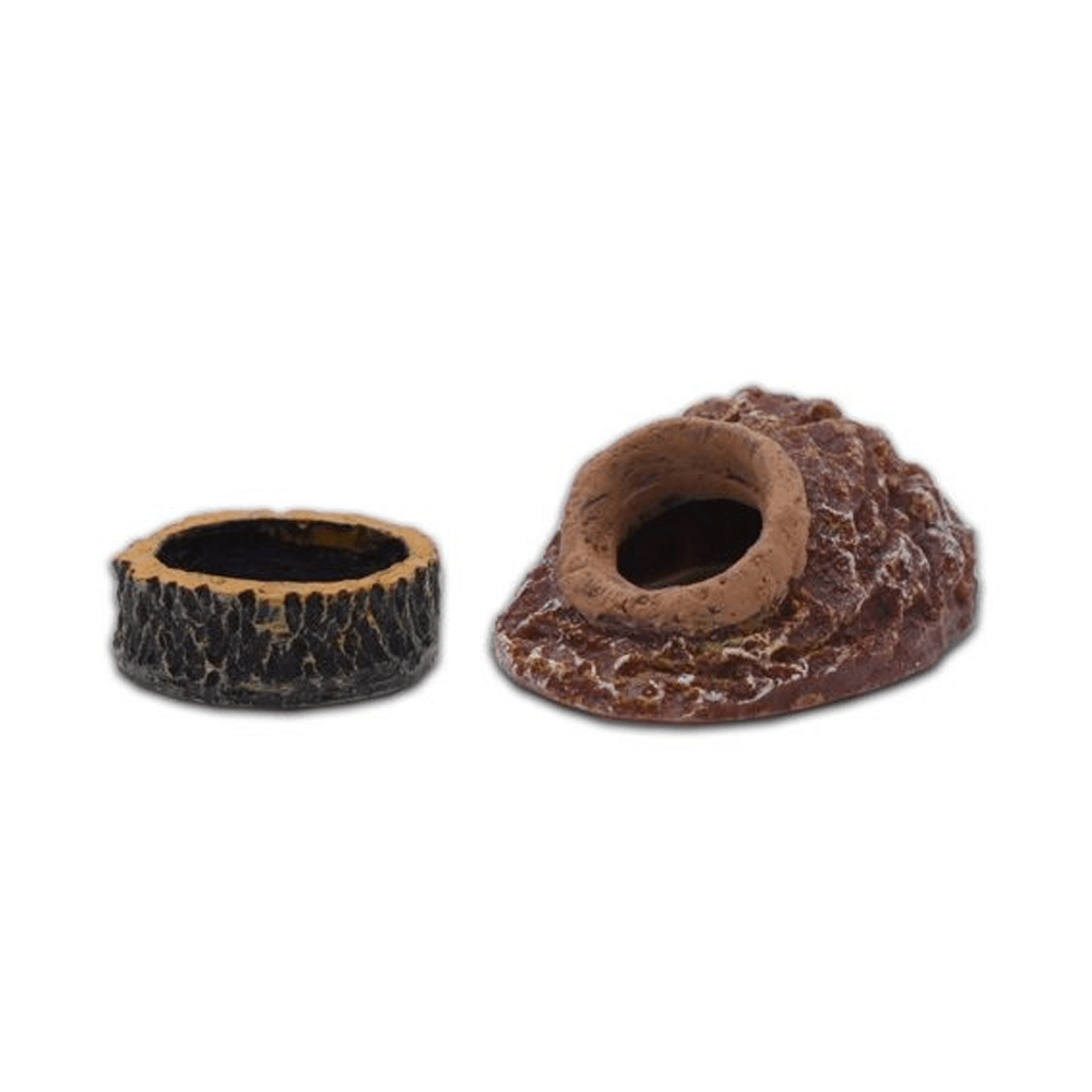 The Spider Shop Micro Burrow and Bowl