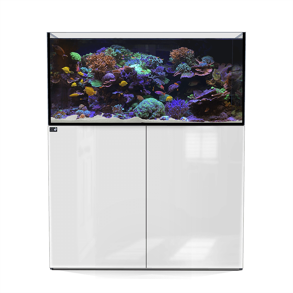 D&D Aqua-Pro Reef 1200 120cm Aquarium & Ultra-Gloss White Cabinet - 387L