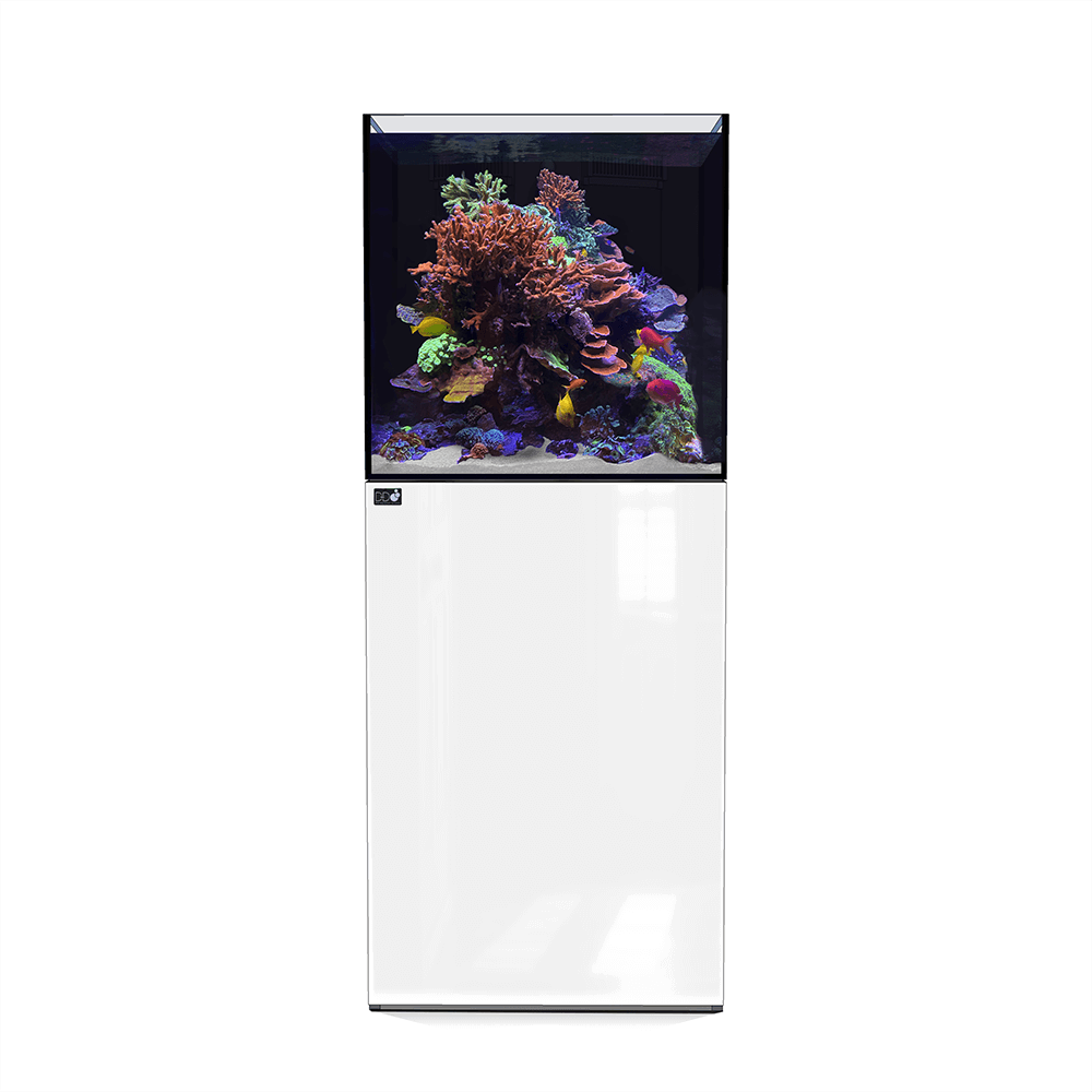 D&D Aqua-Pro Reef 600 60cm Cube Aquarium & Ultra-Gloss White Cabinet - 212L