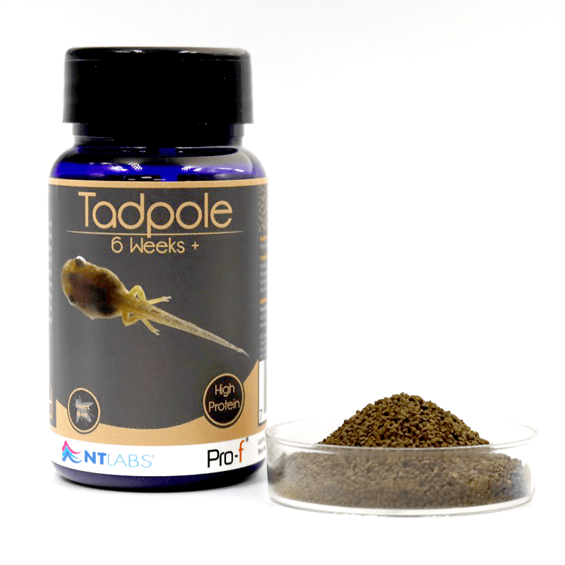 NT Labs Pro-f Tadpole Pellets