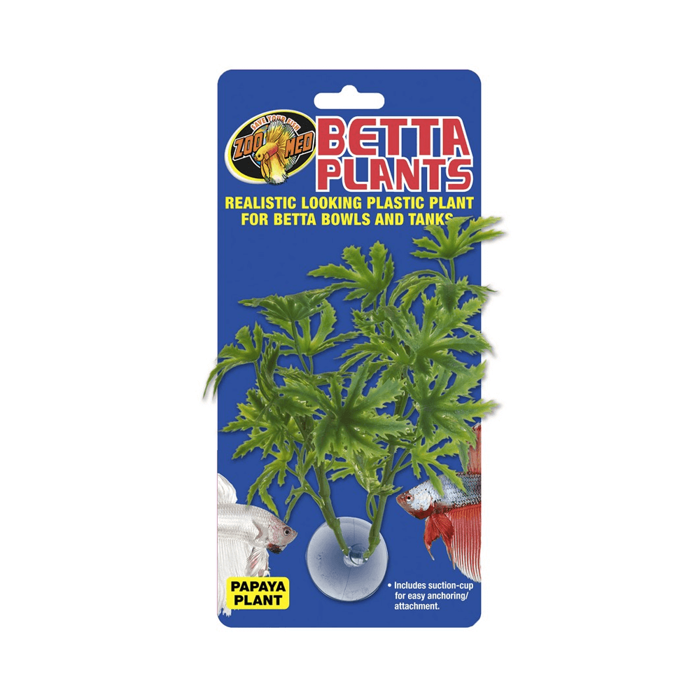 Zoo Med Betta Plant Papaya