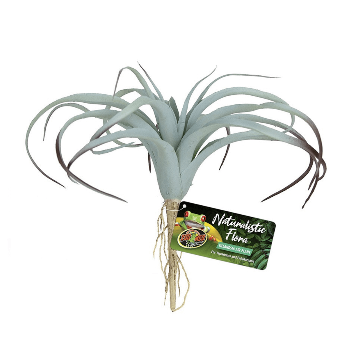 Zoo Med Naturalistic Flora Tillandsia Air Plant