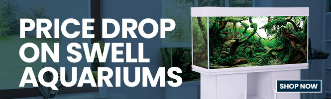 Price drop on Swell aquariums, click to shop