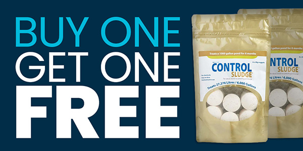 Pond Offer: Shop BOGOF deals, buy one get one free. Pond UV Bulb, pond treatment,  barley straw for ponds and more.