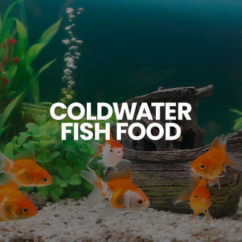 shop coldwater fish food