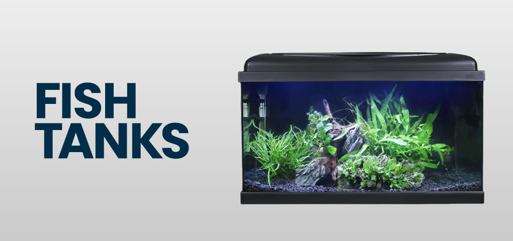 Shop Fish Tank
