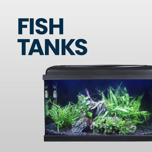 Shop Fish Tank