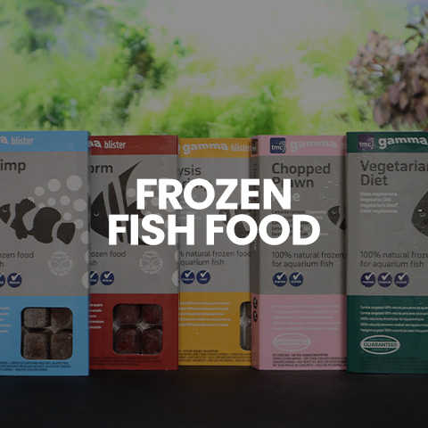 Shop frozen fish food