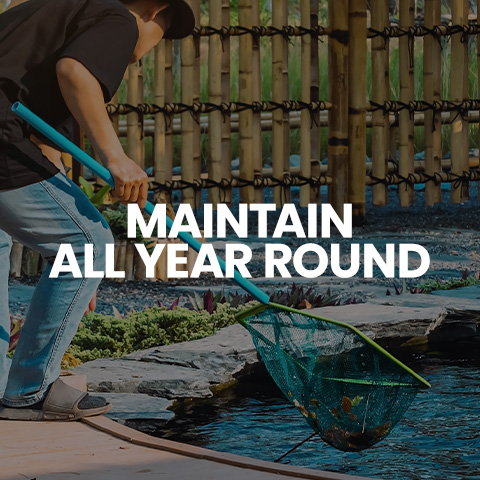 Shop pond maintenance tools, pond vacuums and fish nets.