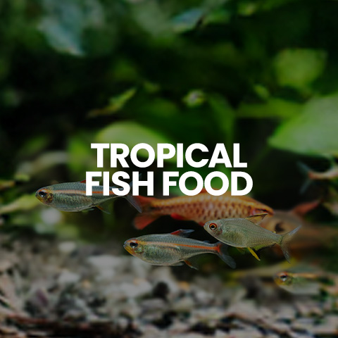 Shop tropical fish food