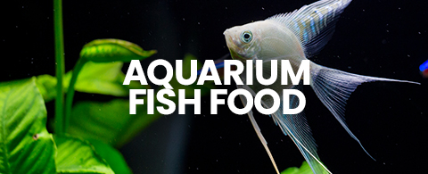 Shop Aquarium fish food. Tropical fish food, tropical fish food flakes, pellets, frozen fish food and more.
