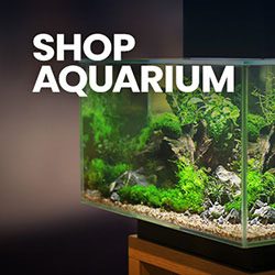 Click to shop freshwater aquarium essentials.