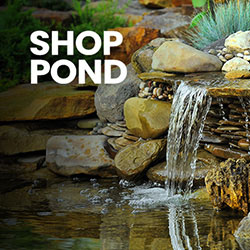 Click to shop pond essentials.